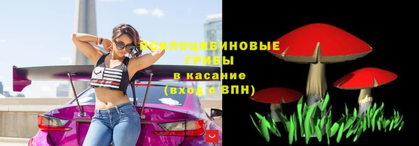 первитин Белокуриха