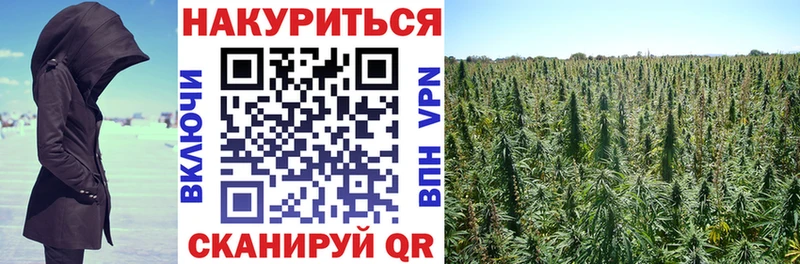 Каннабис марихуана Пионерский